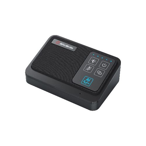 AVerMedia Drahtloses Mikrofonsystem 46385