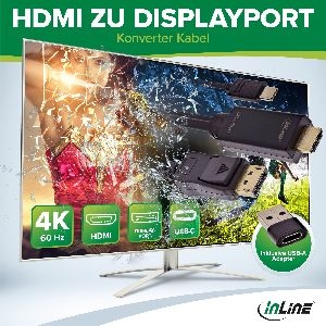 InLine® HDMI zu DisplayPort Konverter Kabel, 4K60Hz, schwarz/gold, 2m 17162I